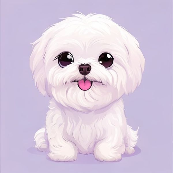 Orhidee