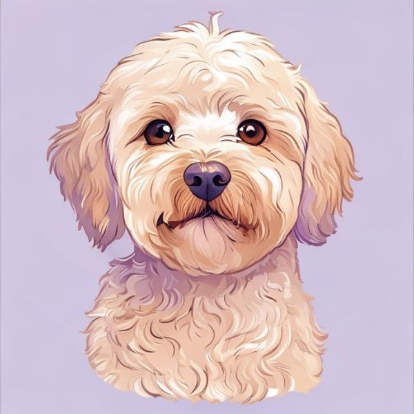 Goldendoodle